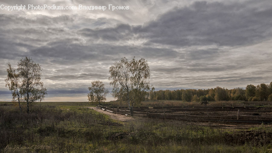 Field, Grass, Grassland, Land, Outdoors, Dirt Road, Gravel