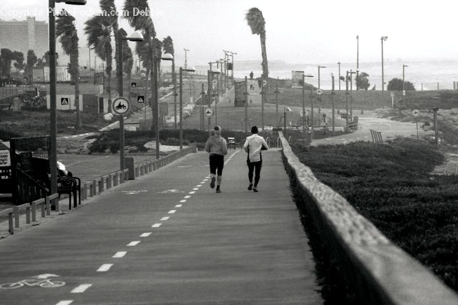 Boardwalk, Deck, Path, Sidewalk, Walkway, Pavement, Trail