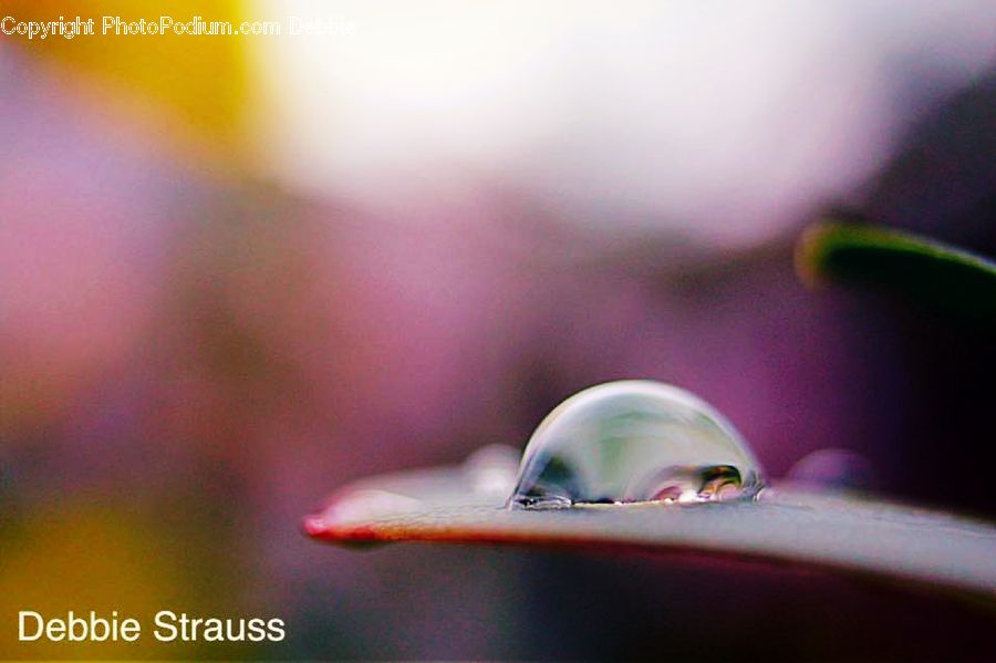 Droplet, Bubble, Person, Portrait