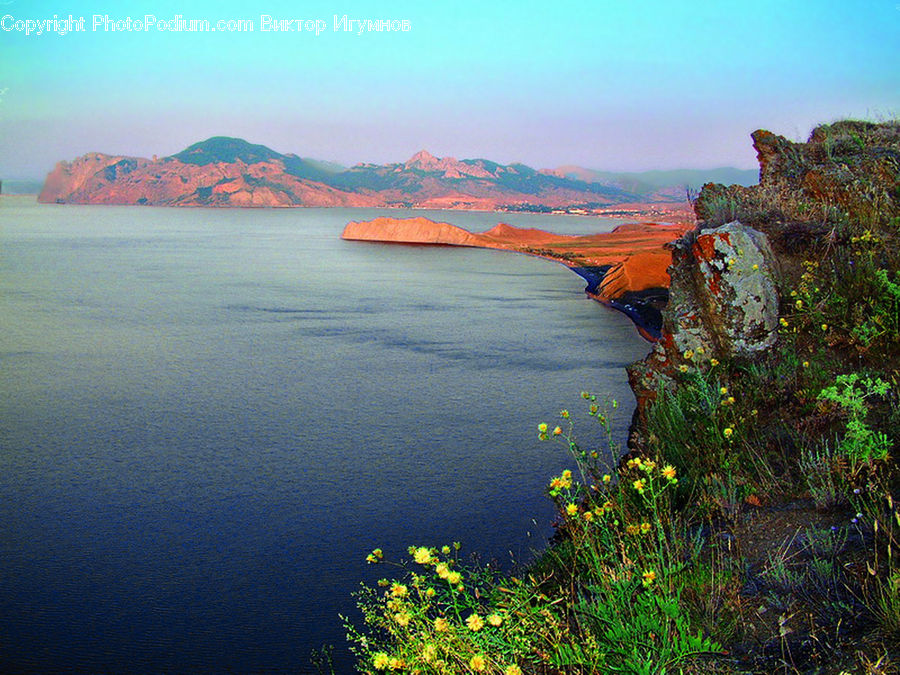 Promontory, Coast, Outdoors, Sea, Water, Moss, Plant