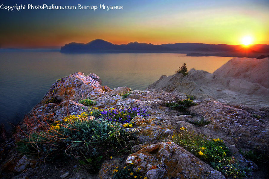 Dawn, Dusk, Sky, Sunrise, Sunset, Plant, Vegetation