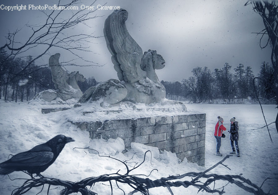 People, Person, Human, Bird, Blackbird, Crow, Blizzard