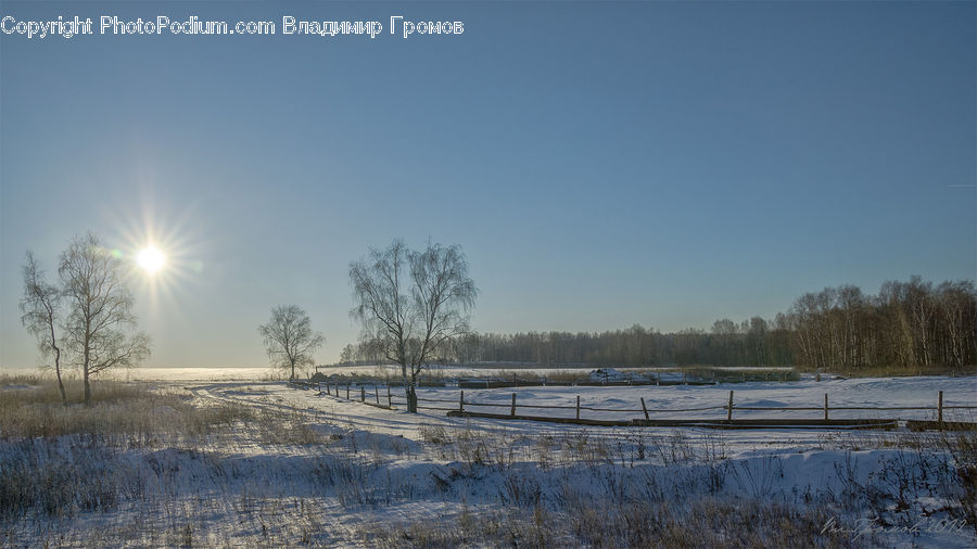 Landscape, Nature, Scenery, Field, Grass, Grassland, Plant