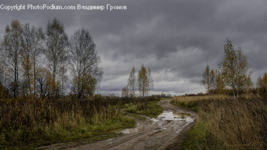 Dirt Road, Gravel, Road