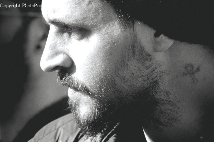 Beard, Hair, Person, Portrait