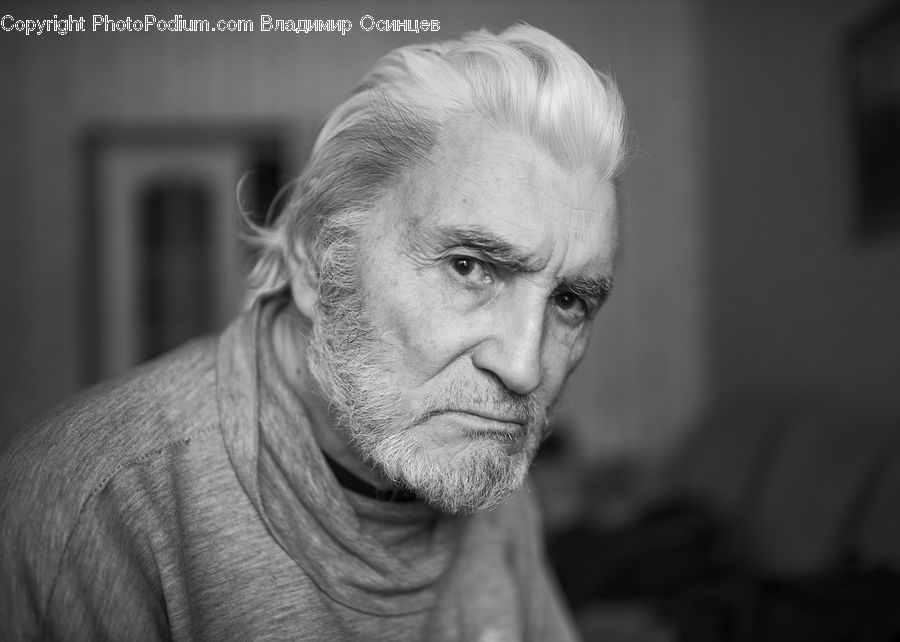 Human, People, Person, Portrait, Face