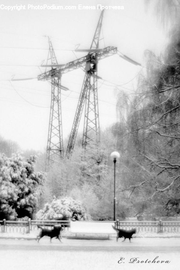Electric Transmission Tower, Animal, Cattle, Cow, Dairy Cow, Mammal, Ice