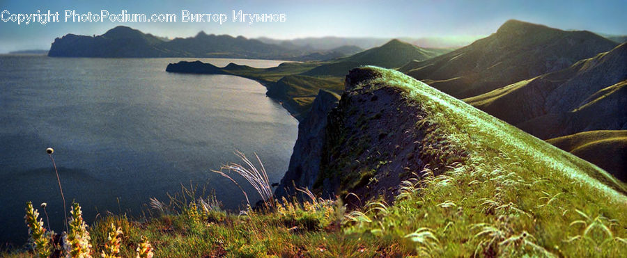 Coast, Outdoors, Sea, Water, Cliff, Field, Grass