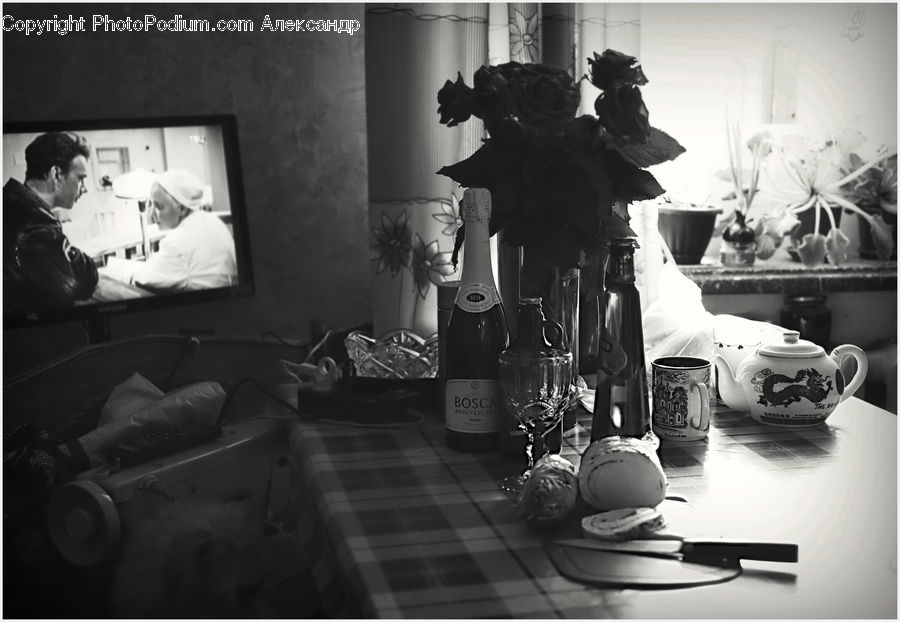 People, Person, Human, Dish, Food, Plate, Plant