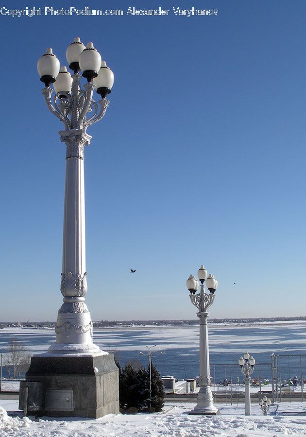 Plant, Potted Plant, Lamp Post, Pole, Ice, Outdoors, Snow