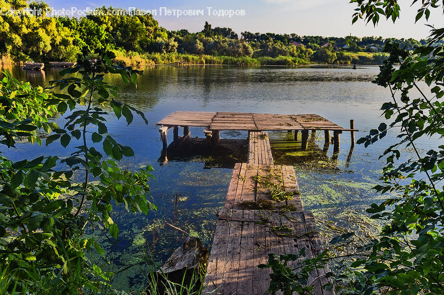Outdoors, Pond, Water, Dock, Landing, Pier, Plant