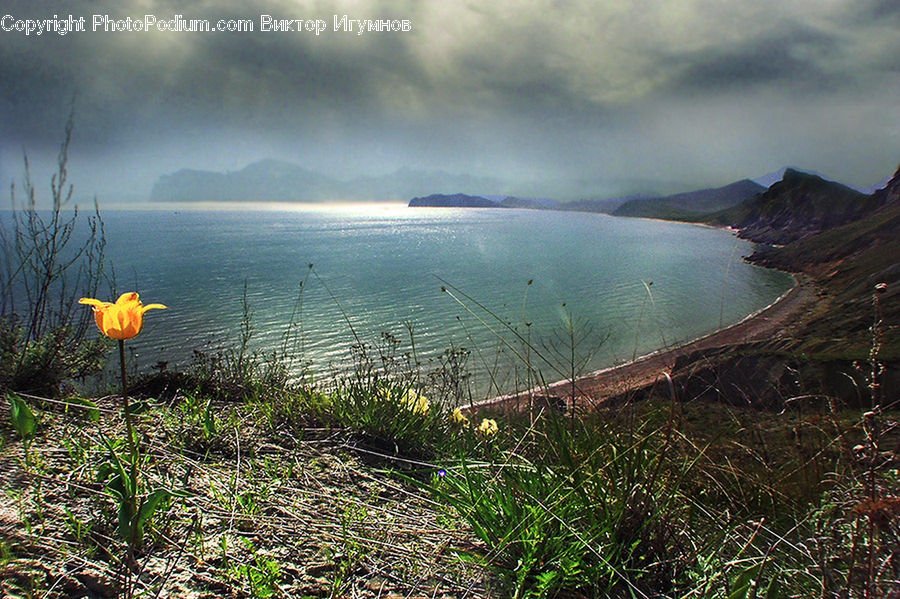Coast, Outdoors, Sea, Water, Basin, Promontory, Plant
