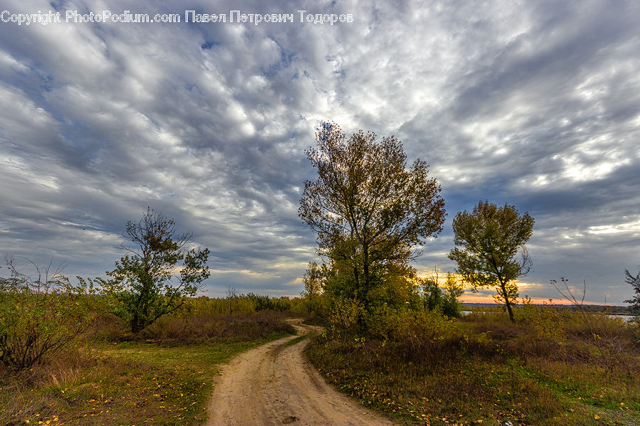 Dirt Road, Gravel, Road, Landscape, Nature, Scenery