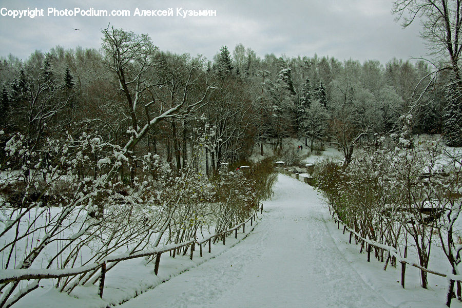 Boardwalk, Deck, Path, Sidewalk, Walkway, Dirt Road, Gravel