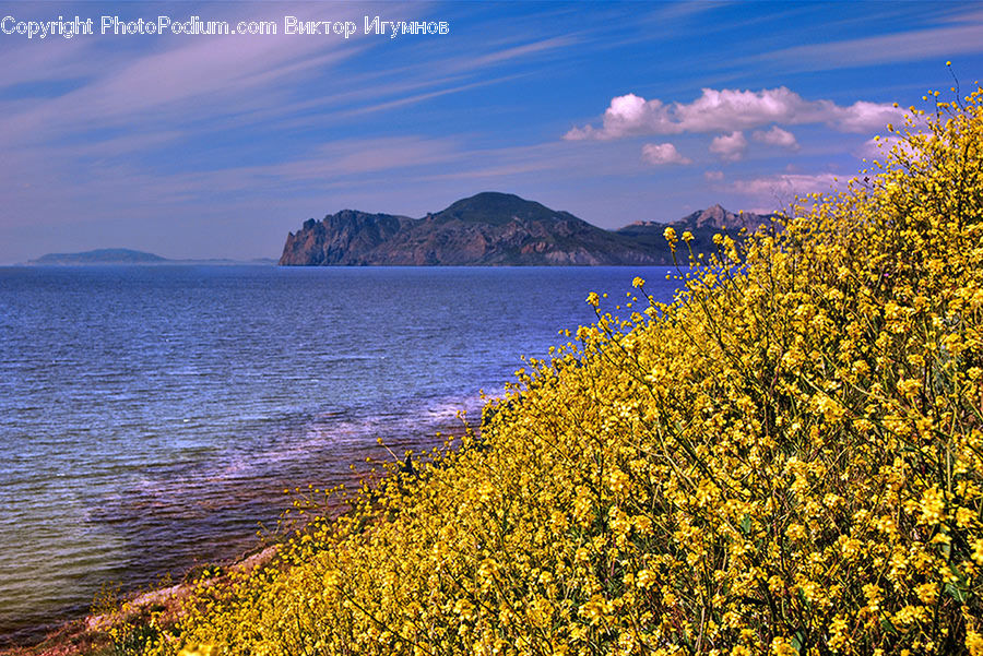 Coast, Outdoors, Sea, Water, Beach, Promontory, Nature