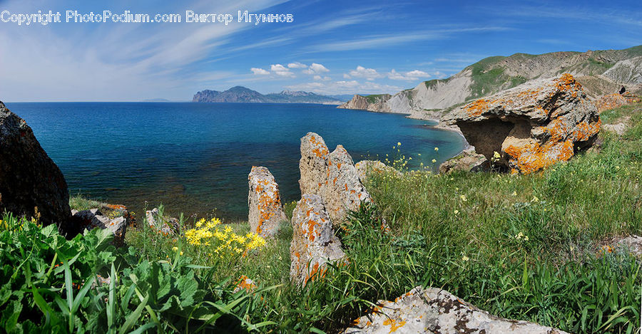 Cliff, Outdoors, Coast, Sea, Water, Blossom, Flora