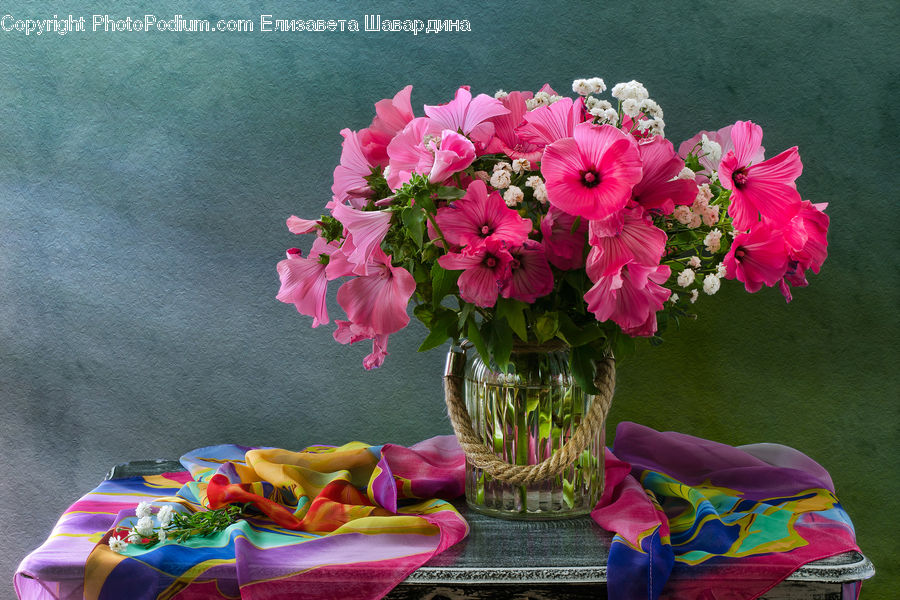 Plant, Potted Plant, Flower, Flower Arrangement, Flower Bouquet, Glass, Amaryllis