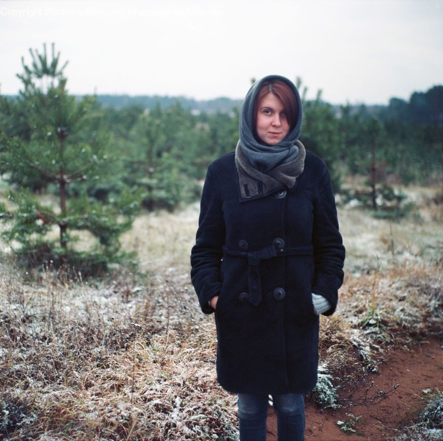 Human, People, Person, Conifer, Fir, Spruce, Wood