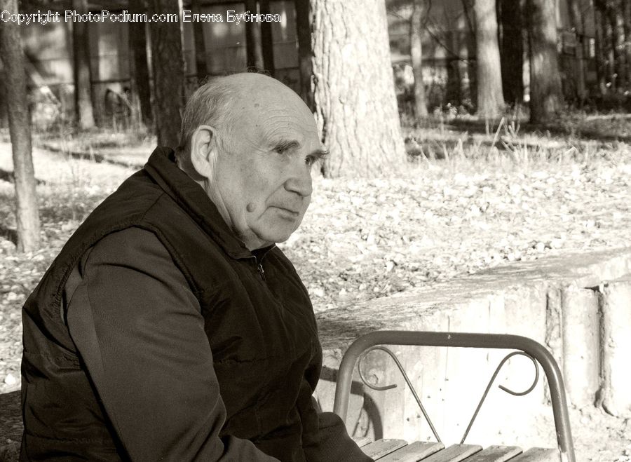 Human, People, Person, Bench, Ruins, Portrait