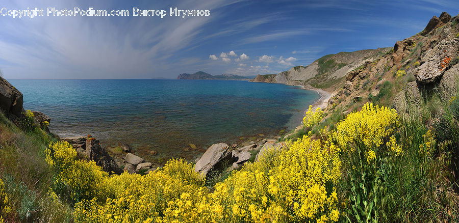 Promontory, Coast, Outdoors, Sea, Water, Cliff, Bush