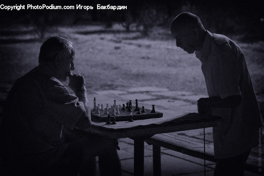 Human, People, Person, Chess, Game, Dock, Landing