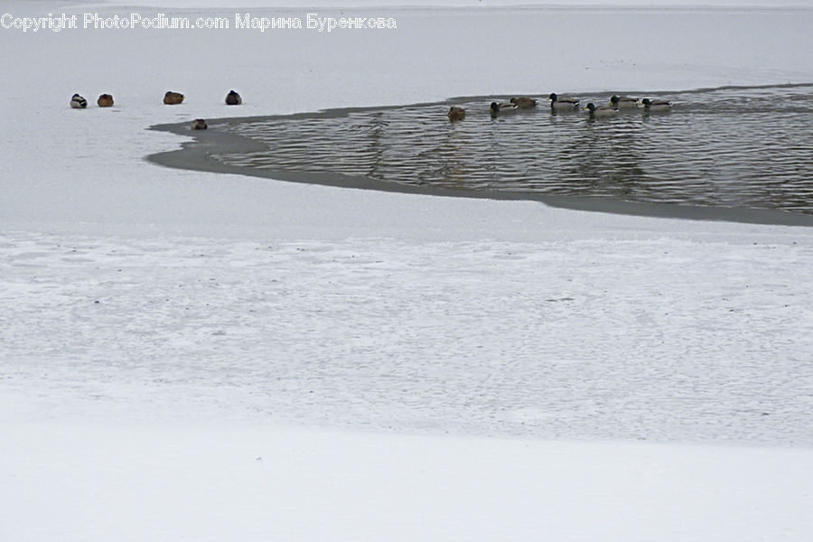 Arctic, Ice, Outdoors, Snow, Winter, Leisure Activities, Art
