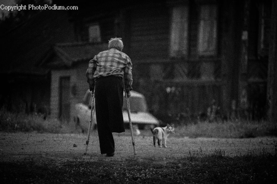 Human, People, Person, Stick, Asphalt, Tarmac, Bench