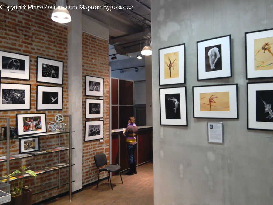 Plant, Potted Plant, Art, Art Gallery, Chair, Furniture, Cafe