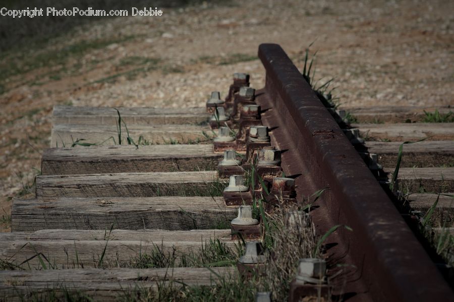 Plant, Potted Plant, Freight Car, Shipping Container, Vehicle, Bench, Banister