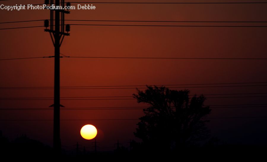 Plant, Potted Plant, Cable, Electric Transmission Tower, Power Lines, Dusk, Outdoors