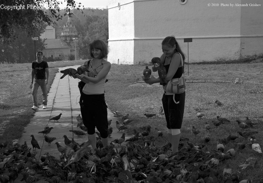 Human, People, Person, Bird, Pigeon, Bag, Female