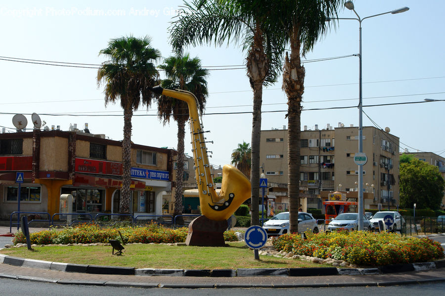 Playground, Arecaceae, Palm Tree, Plant, Tree, Architecture, Downtown