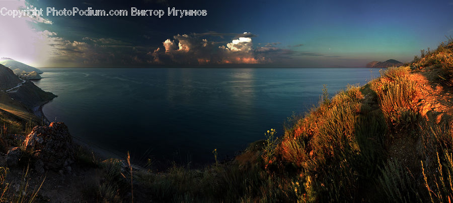 Grass, Plant, Reed, Dawn, Dusk, Sky, Sunrise