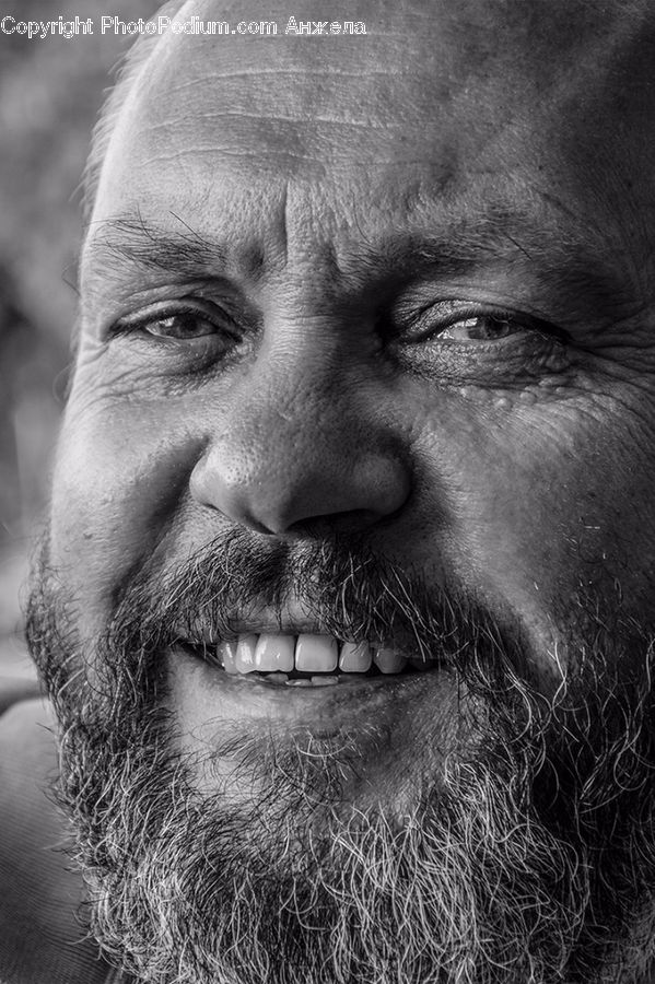 Beard, Hair, Person, Portrait, Selfie