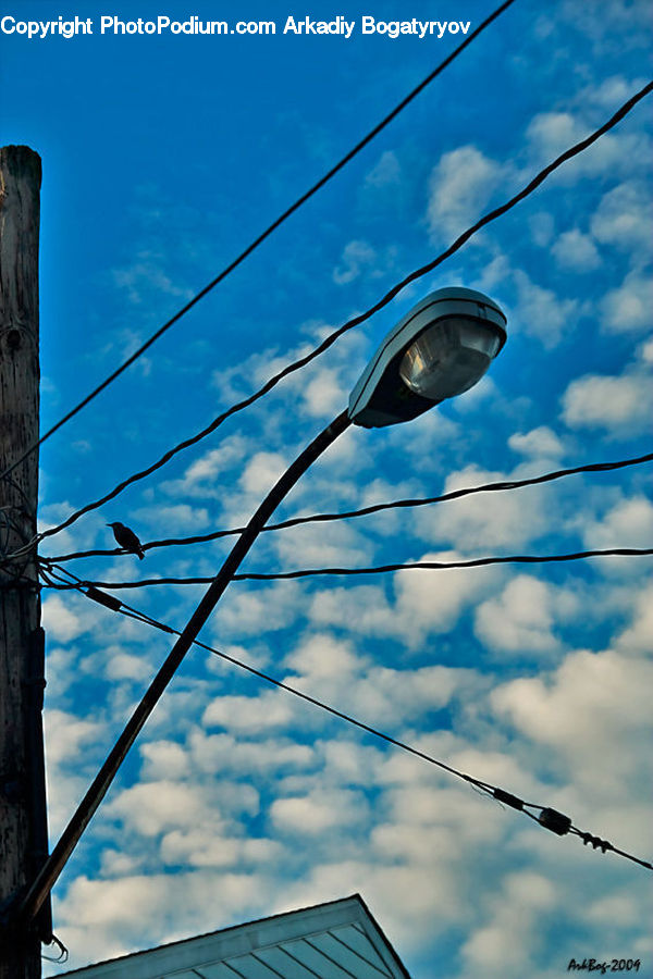 Lamp Post, Pole, Building, Field, Grass, Grassland, Plant
