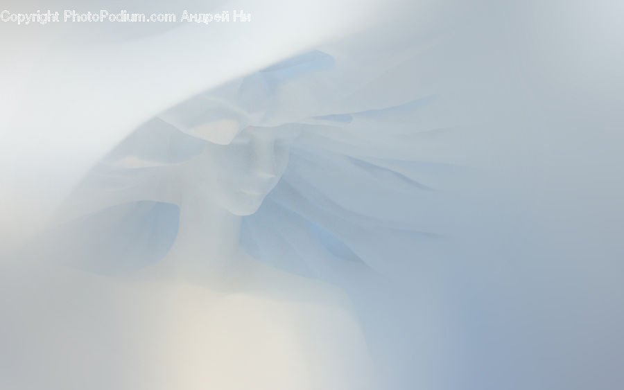 Light