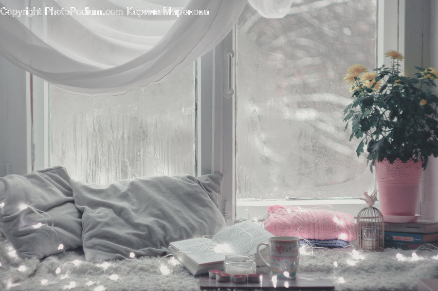 Plant, Potted Plant, Reception Room, Room, Waiting Room, Pot, Pottery