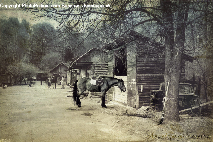 Bench, Cabin, Hut, Rural, Shack, Shelter, Building