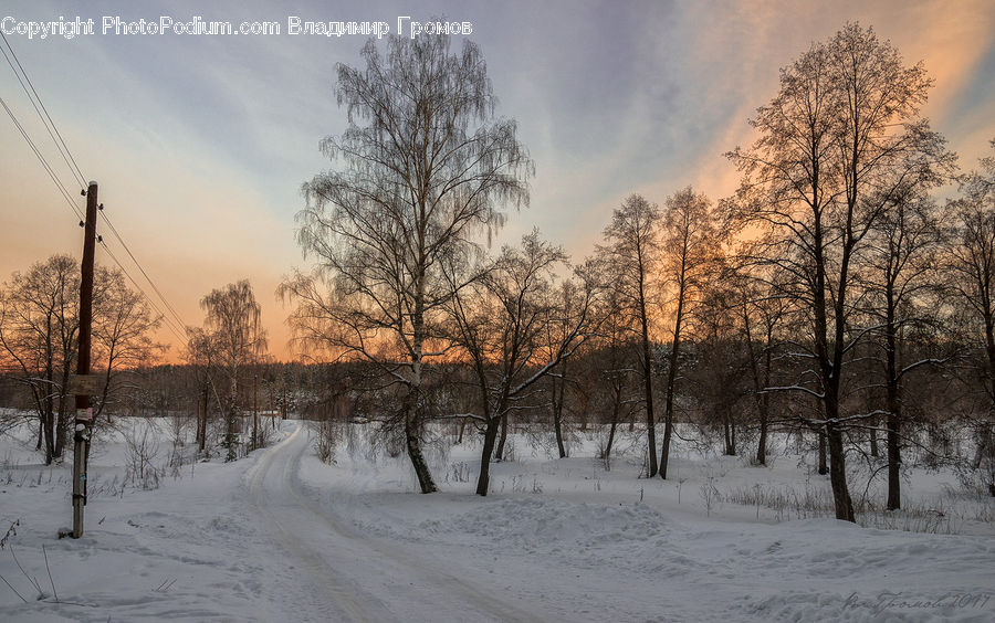 Ice, Outdoors, Snow, Landscape, Nature, Scenery, Dirt Road