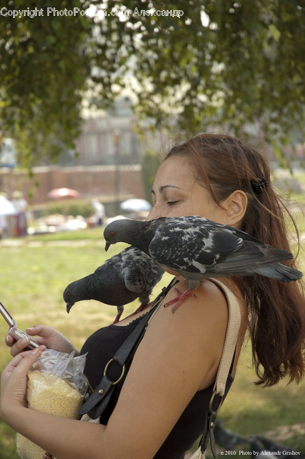 People, Person, Human, Bird, Dove, Pigeon, Leisure Activities