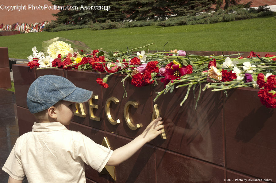 Plant, Potted Plant, People, Person, Human, Floral Design, Flower