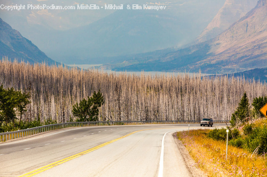 Dirt Road, Gravel, Road, Freeway, Highway, Forest, Vegetation
