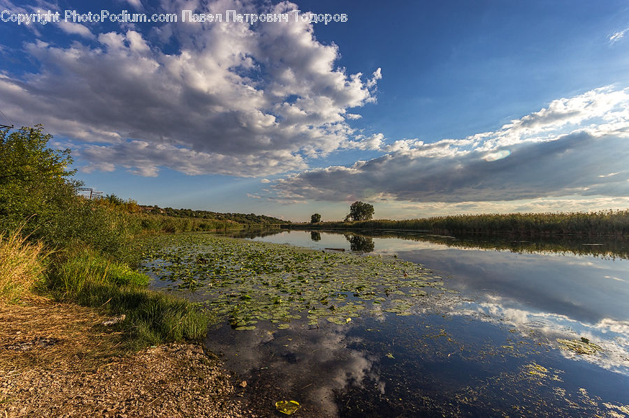 Azure Sky, Cloud, Outdoors, Sky, Pond, Water, Cumulus