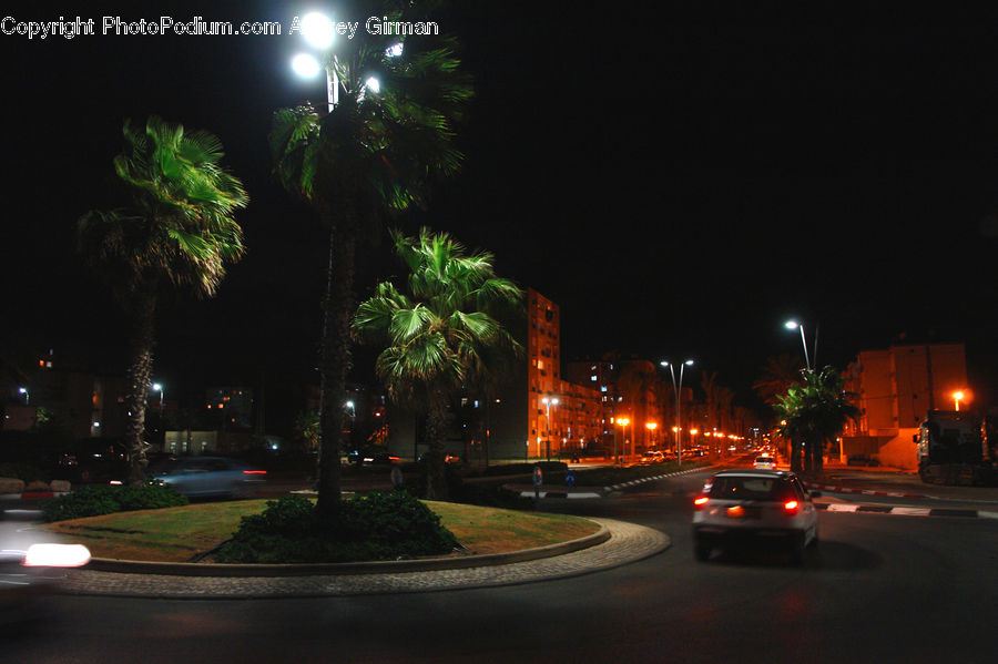 Automobile, Car, Vehicle, Night, Outdoors, City, Downtown