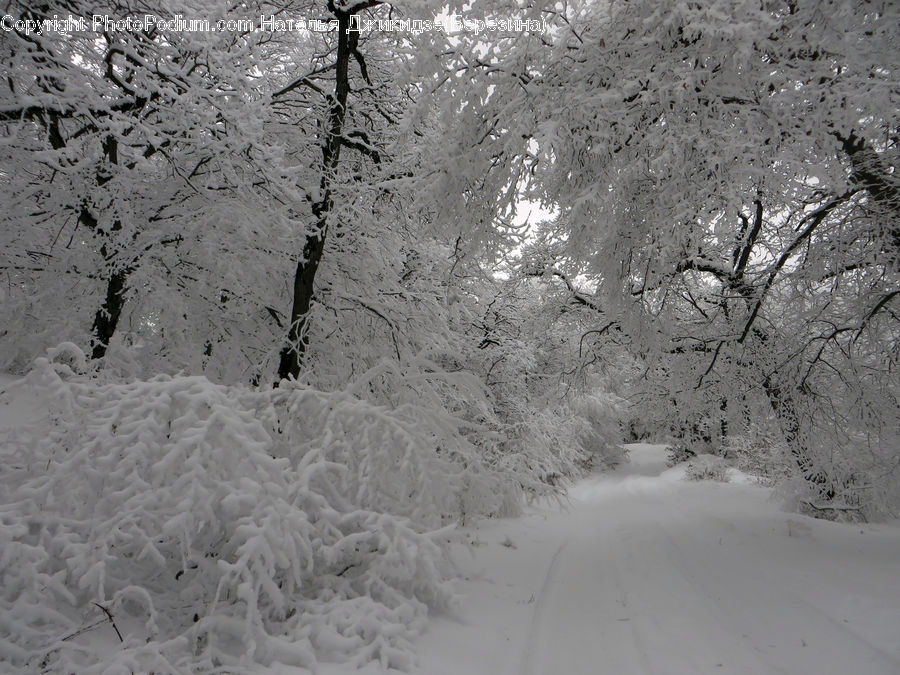 Ice, Outdoors, Snow, Sand, Soil, Landscape, Nature