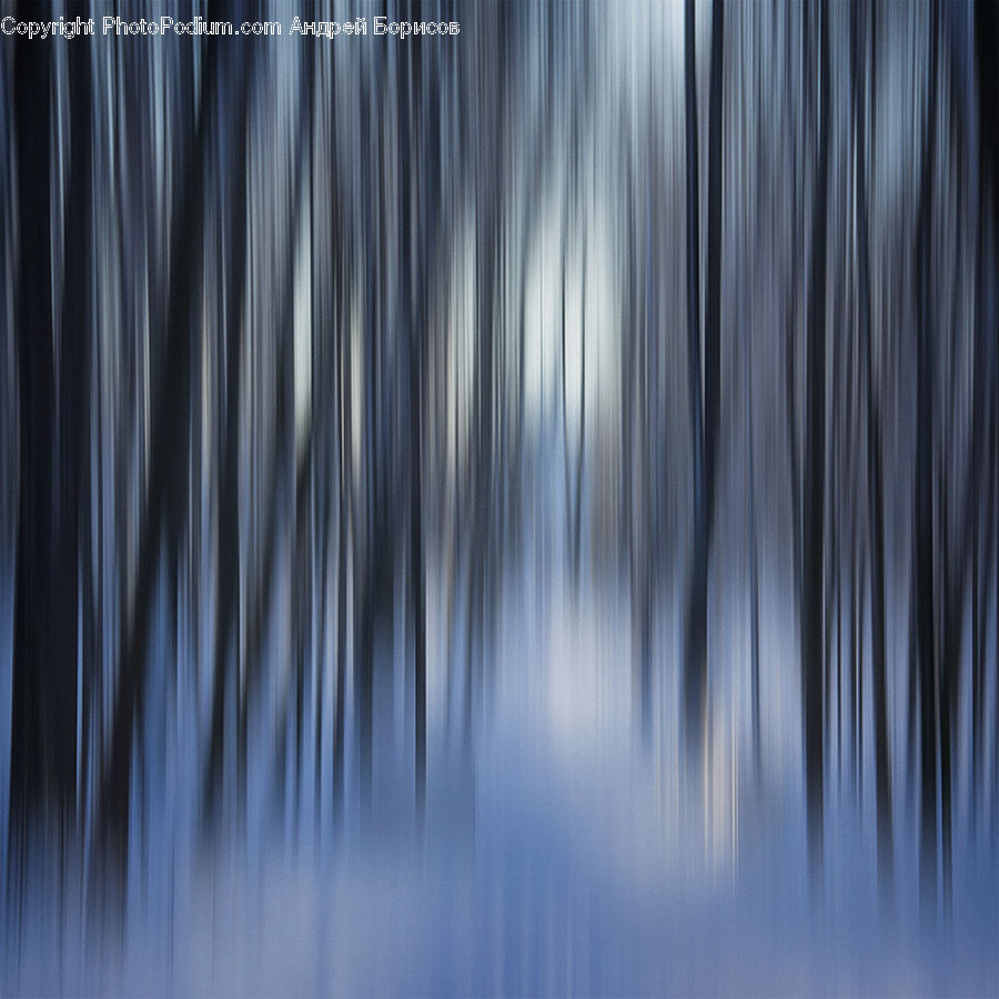 Wood, Field, Grass, Grassland, Plant, Water, Forest