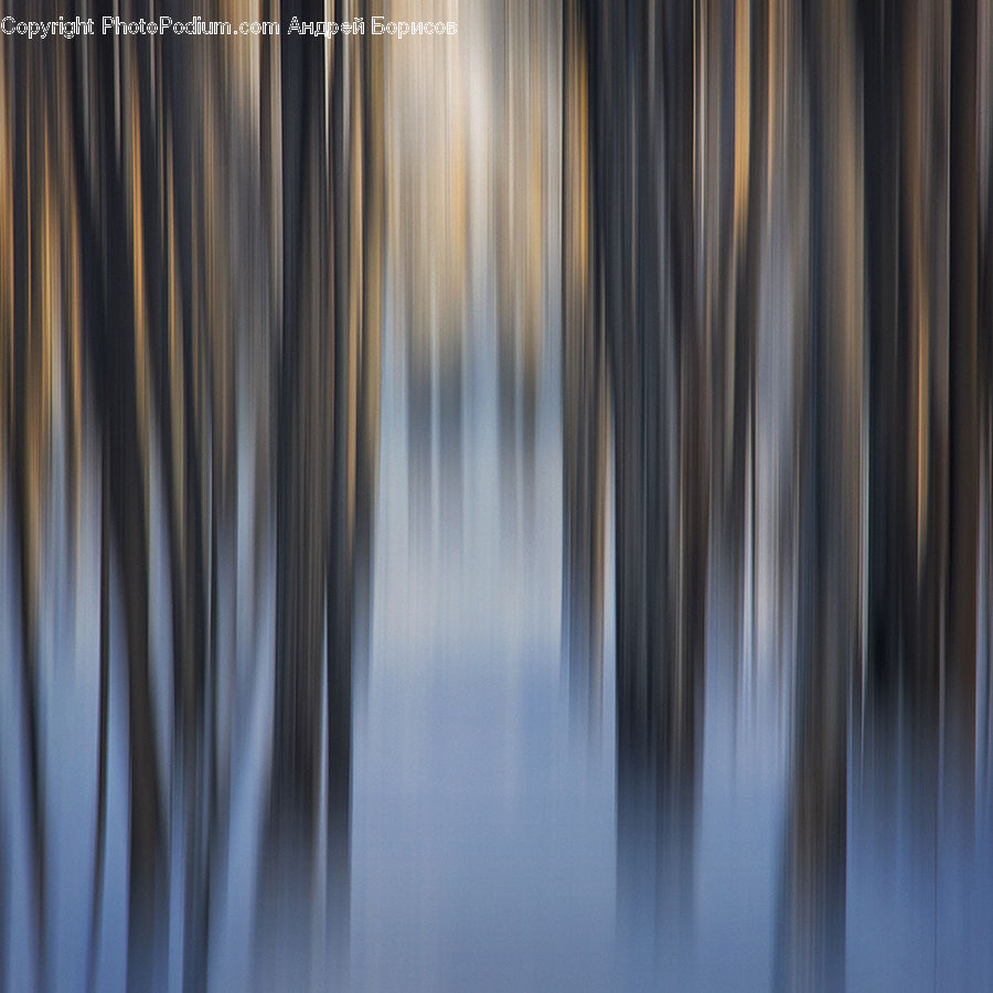 Wood, Curtain, Home Decor, Forest, Vegetation, Plant, Tree