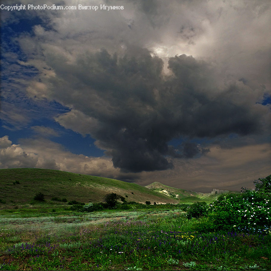 Azure Sky, Cloud, Outdoors, Sky, Field, Grass, Grassland