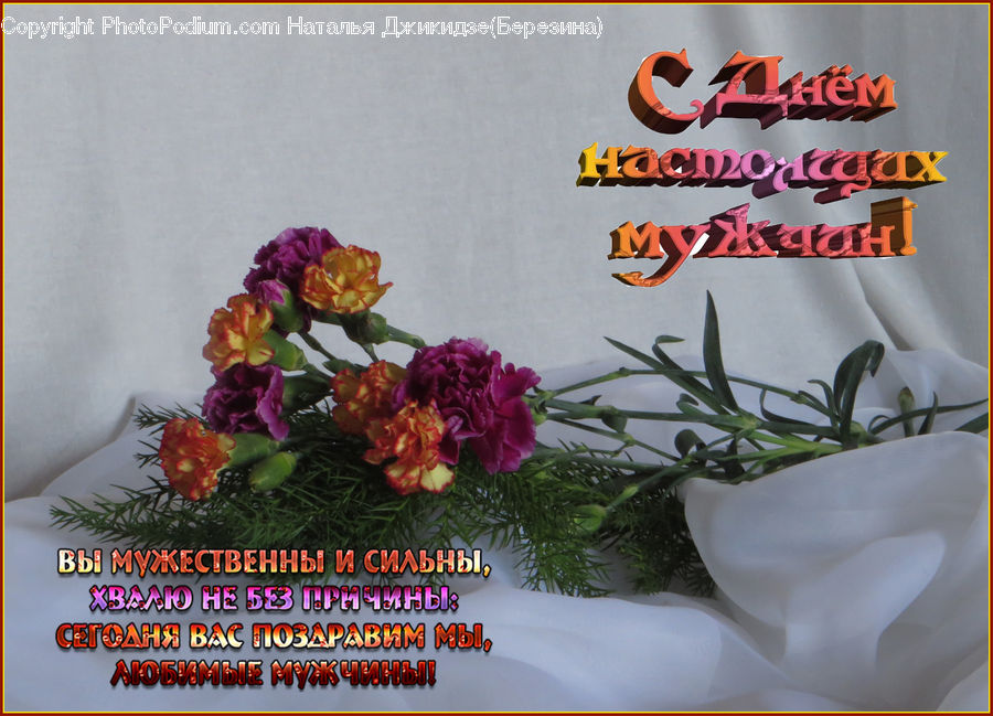 Plant, Potted Plant, Blossom, Flower, Peony, Floral Design, Flower Arrangement