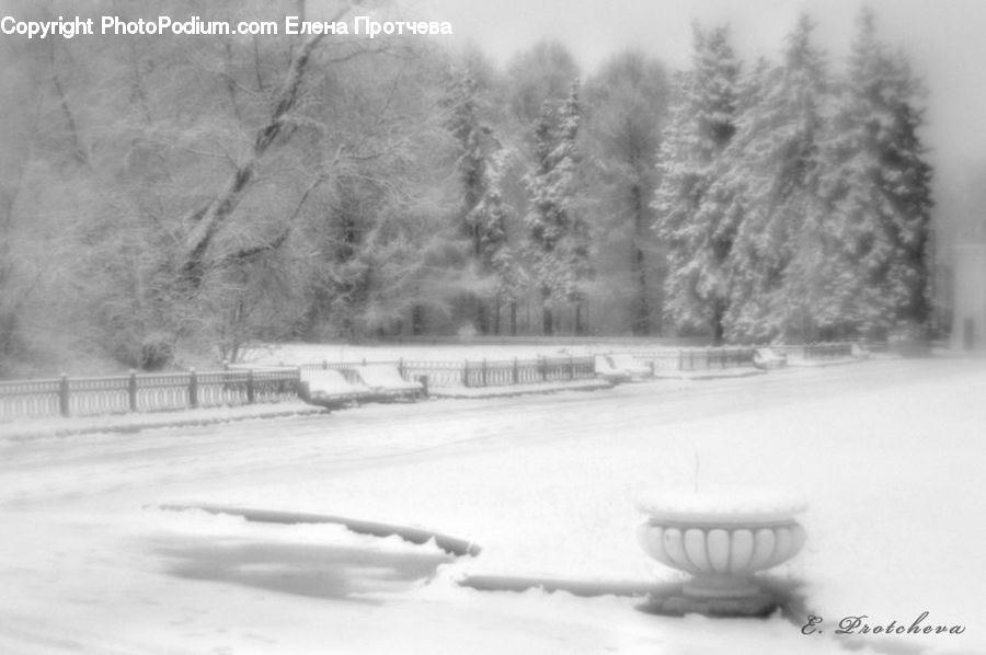 Blizzard, Outdoors, Snow, Weather, Winter, Ice